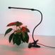 Фіто лампа гнучка 10w 2:1 біколор - 1 світильник на прищіпці з таймером + блок живлення 001092 фото 1