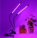 Фіто-лампа гнучка 20w 2:1 біколор - 2 світильника на прищіпці з таймером + блок живлення 001093 фото 1
