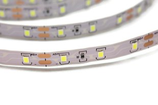 Светодиодная лента 12В 1м MTK-300W3528-12 SMD 2835 60 LED/m IP20 Белый 1017947 фото