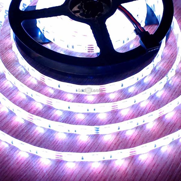 Светодиодная лента 12В 1м LLS-300RGB-P-5050-12 SMD 5050 60 LED/m IP65 RGB 0115430 фото