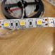 Светодиодная лента 12В 1м MTK-300WW5050-12 SMD 5050 60 LED/m IP20 Теплый Белый 1015439 фото 4