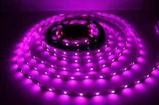 Светодиодная лента 12В 1м LLS-300P-2835-IP65-12 SMD 2835 60 LED/m IP65 Розовый с влагозащитой 0112139 фото